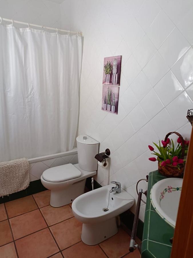 Chalet Trinquet Vinaros Exterior photo